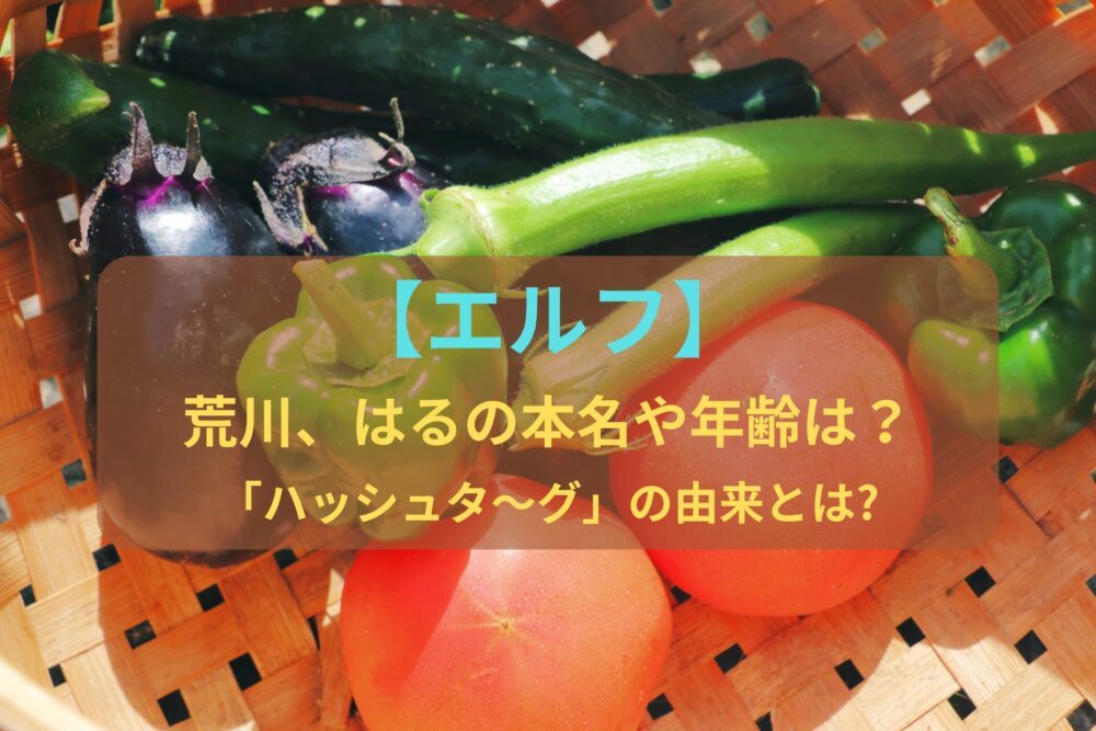 【エルフ】荒川、はるの本名や年齢は？ 『ハッシュタ～グ』の由来とは?