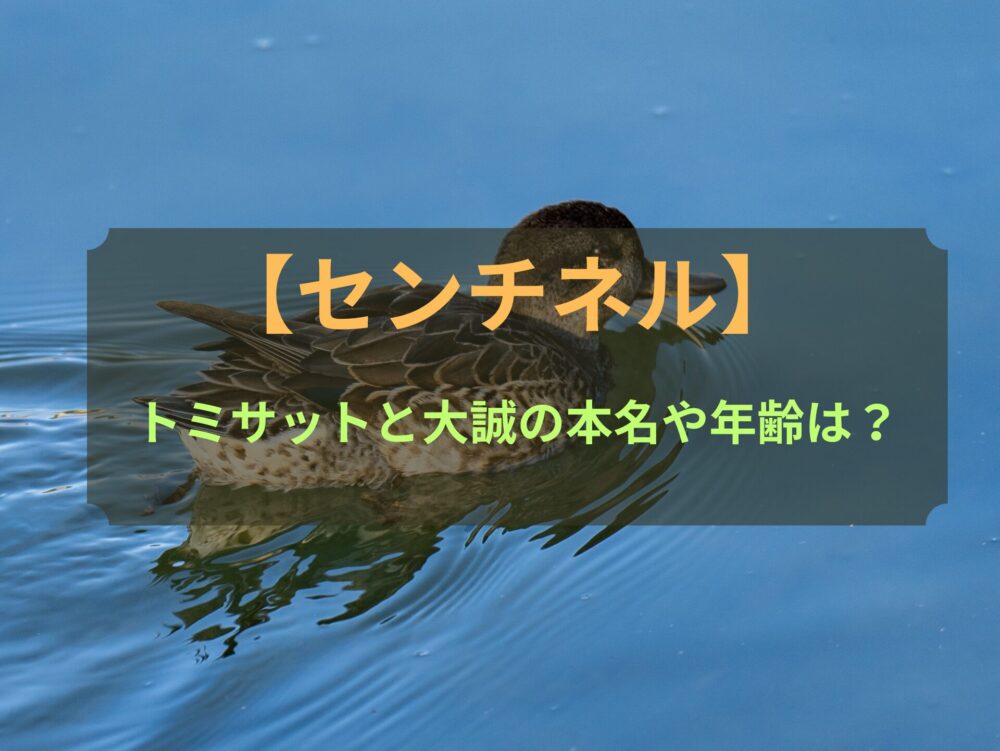 【センチネル】トミサットと大誠の本名や年齢は？