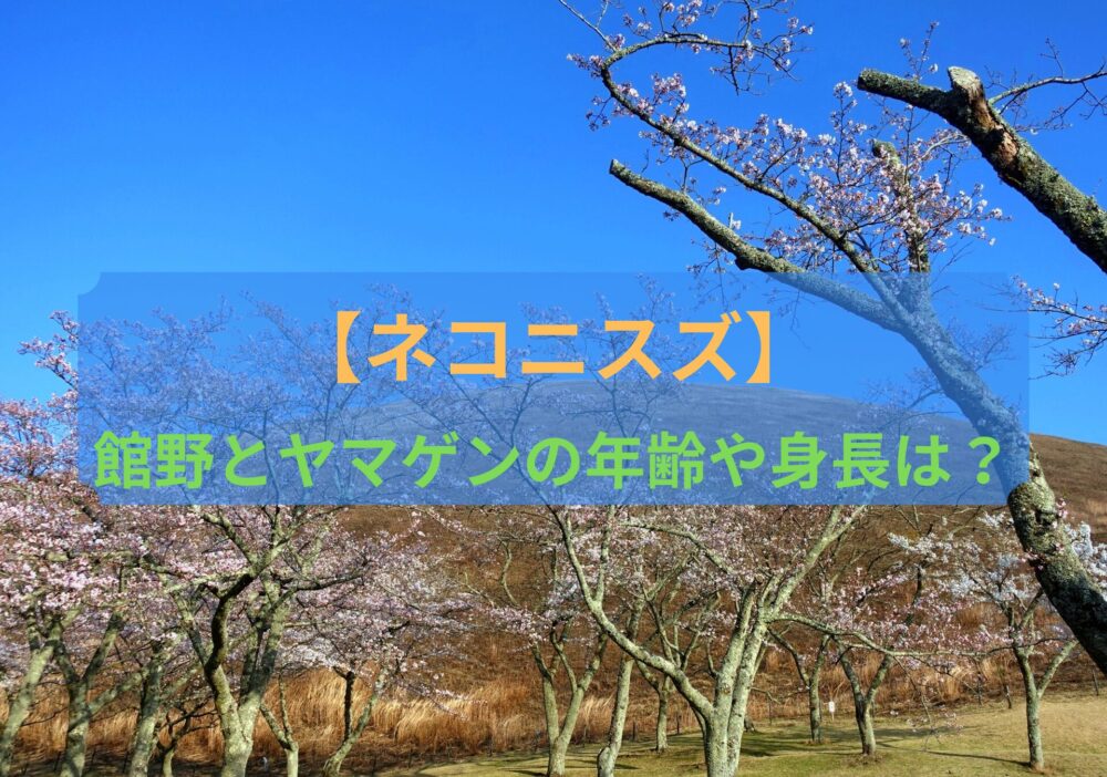 【ネコニスズ】館野とヤマゲンの年齢や身長について