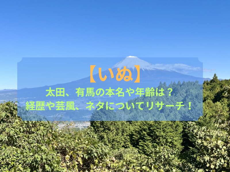 【いぬ】太田、有馬の本名や年齢は？経歴や芸風、ネタについてリサーチ！