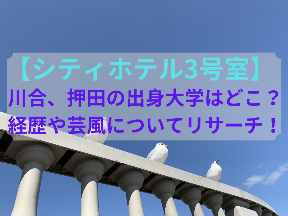 【シティホテル3号室】川合、押田の出身大学はどこ？経歴や芸風についてリサーチ！